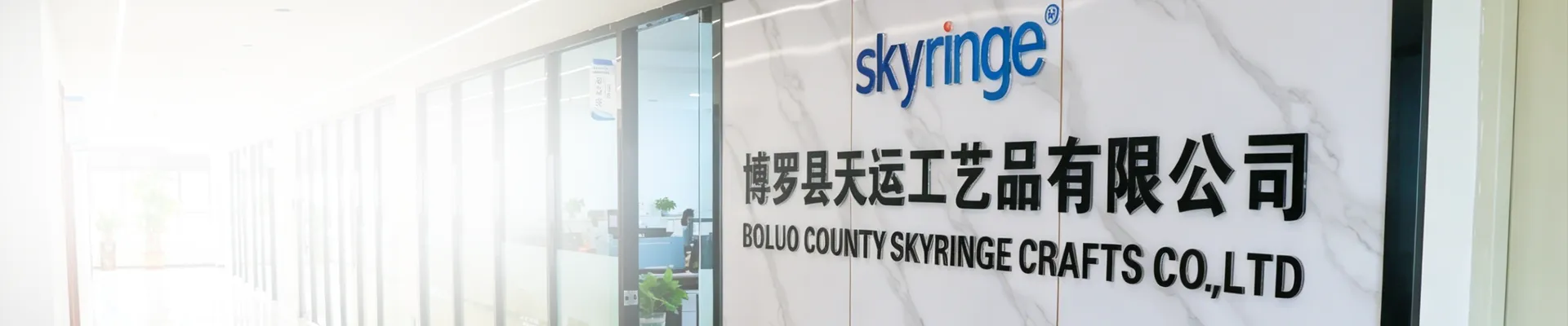 Contact Skyringe