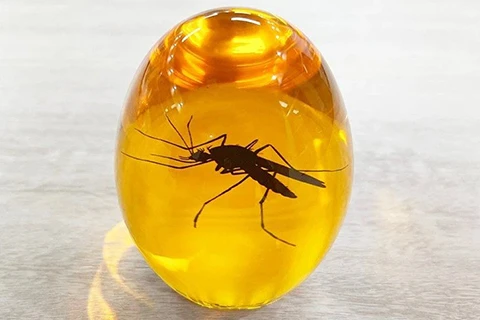Where Can I Buy a Custom Gift?