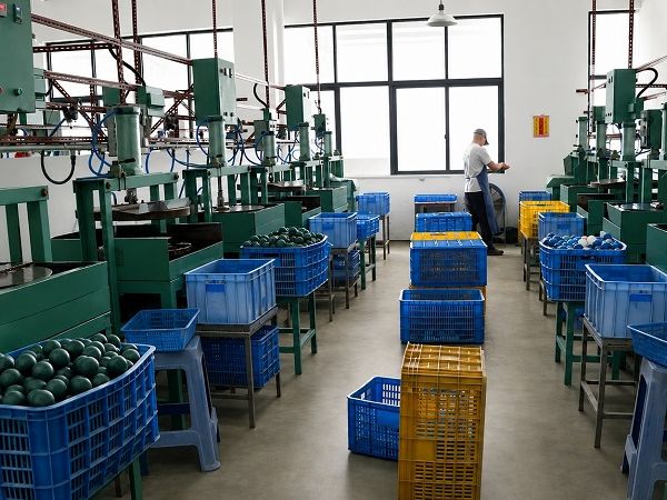 page-1-1 Edge Finishing Area