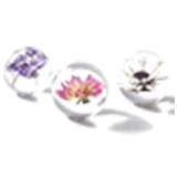 page-160-160 Paperweight